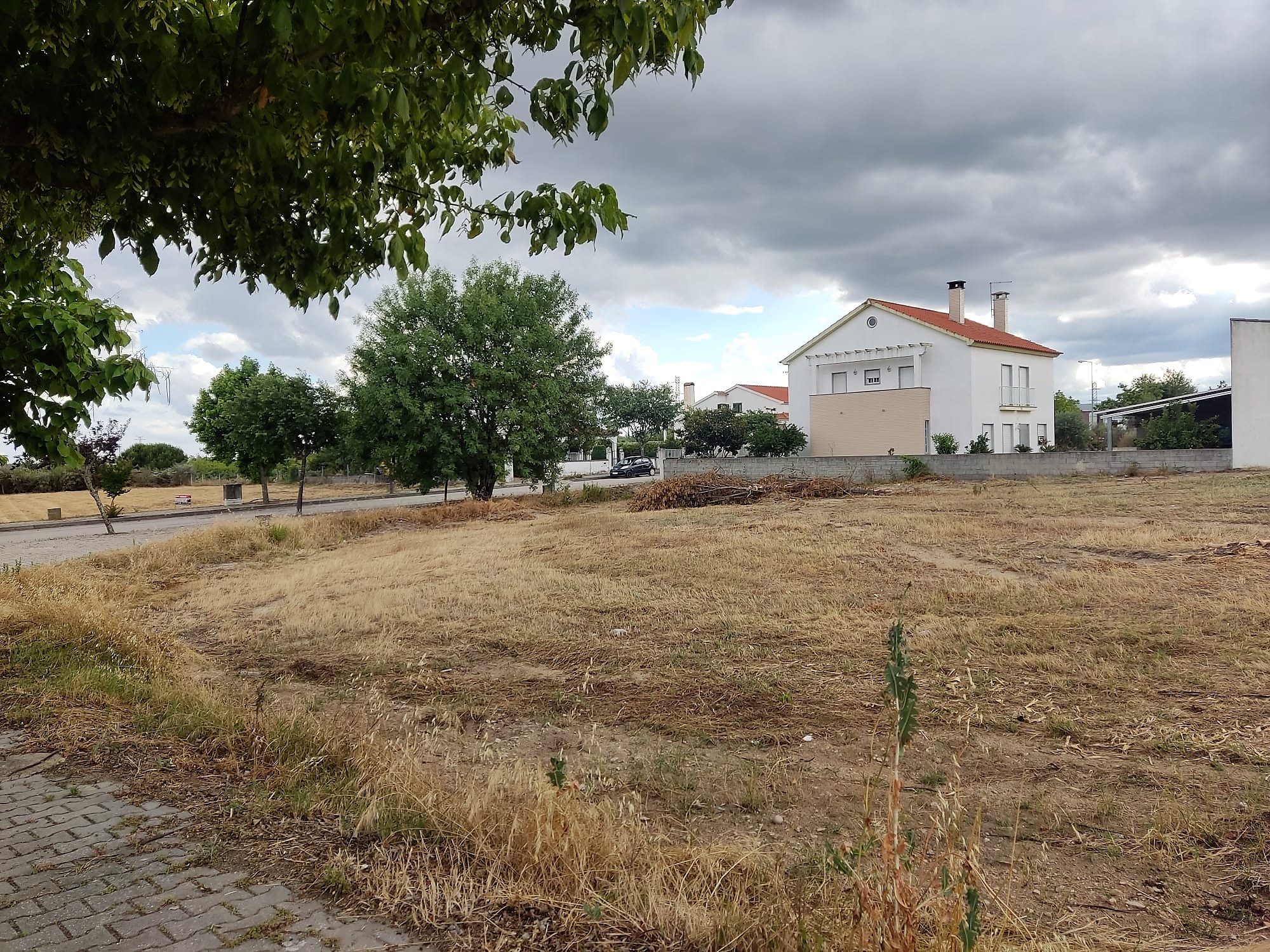 Imagem Lote para construção - 27.500,00€ - Lardosa